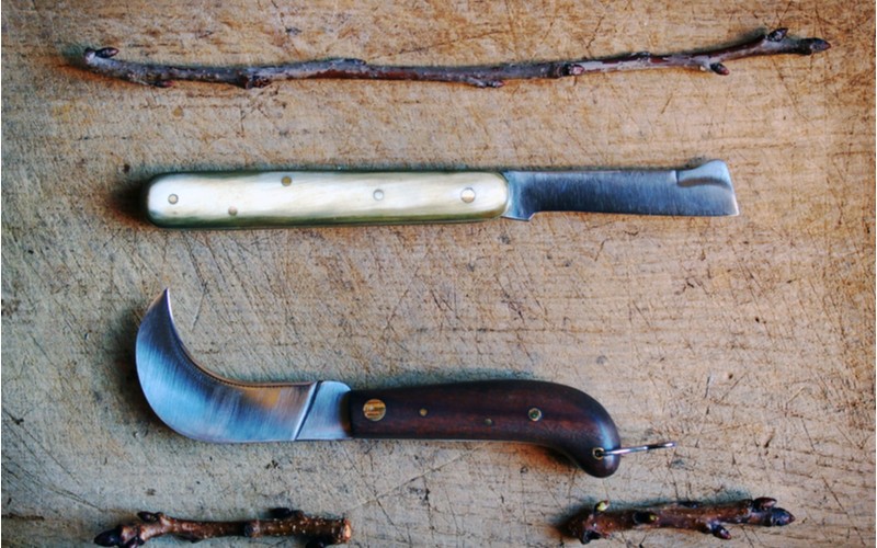 Štěpařské nože