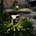 Solární lampy do zahrady - proč se pro ně rozhodnout a na co se zaměřit při nákupu