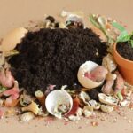 Domácí hnojivo - ilustrační obrázek: pokojová květina v květináči a kolem je různý kuchyňský odpad